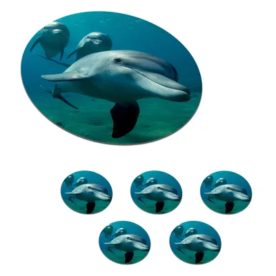 Produktbild von KitchenYeah®  Glasuntersetzer Rund 6er Set Wasser - Delphin - Blau 10x10 cm Untersetzer für Gläser - Getränkeuntersetzer - Tischplattenschutz - Tischuntersetzer für Tassen Tisch Bar Glas
