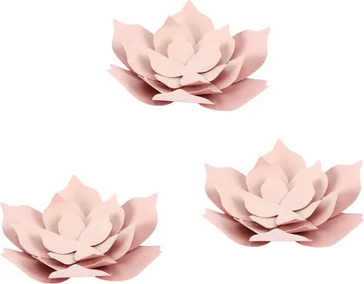 Produktbild von Papierblumen DIY, rosa