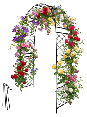 Immagine prodotto di Relaxdays, arco di rose in metallo, arco per l'ingresso del giardino, dimensioni: 240 x 140 x 50 cm, arco robusto per piante rampicanti, colore nero