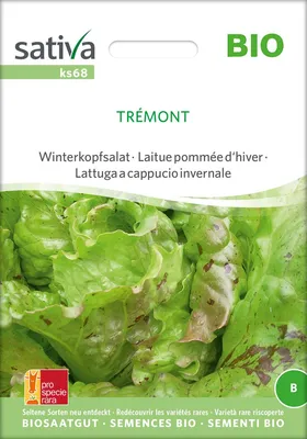 Artikelbild 1 von 'BIO Winterkopfsalat Trémont' aus der Kategorie Kopfsalatsamen