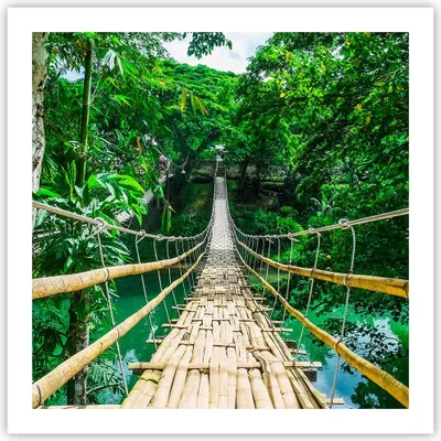Produktbild von Poster - Poster ohne Rahmen - Gehweg Baum Holz Steg - 60x60 cm - Wand Bild - Wanddeko - Wandbilder - Kunstposter - Wandposter - Bilder - Kunstdruck - Wanddekoration - Wandbild - P2XAC60x60-3185