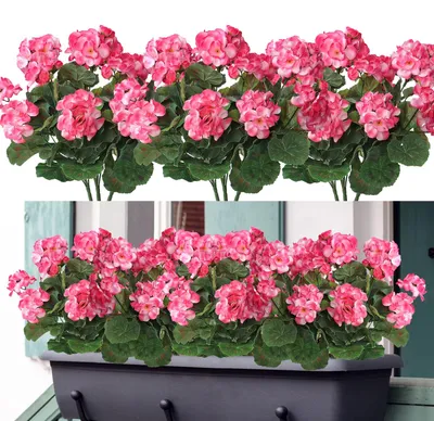 Kunstblumen 6er-Set, UV-beständig, Geranien, rosa, 36 cm