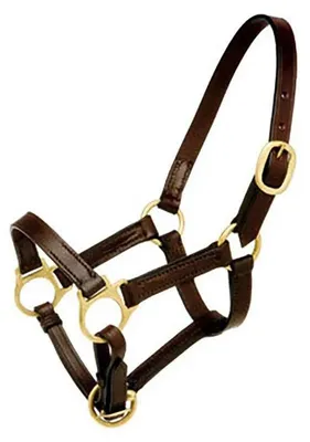 Image de Hispano Hipica Short Leather Licol Noir Potro Noir Potro