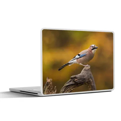 Produktbild von MuchoWow® Laptop Aufkleber Sticker Cover Vogel - Zweig - Eichelhäher 25x18 cm - Laptop-Deko