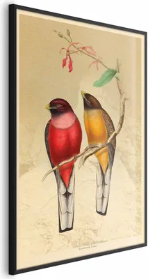 Produktbild von Posterpapier Poster - Birds on a Branch 40x60 cm Tiere g-C-0136-ao-a