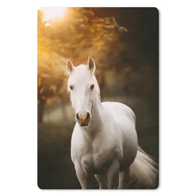 Produktbild von MuchoWow® Mauspad Mousepad Pferd - Licht - Sonne 18x27 cm - Mousepads - Maus Mat - Pad - Mausunterlage