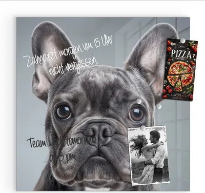 Produktbild von Magnettafel 30x30cm Pinnwand Whiteboard beschreibbar - Französische Bulldogge