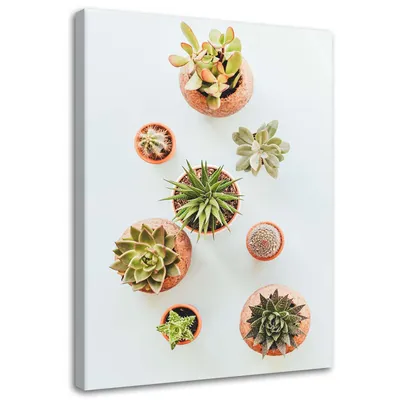 Produktbild von Leinwandbild pflanzen in einem topf 60x90 cm Feeby grün wandbild bereit zum aufhängen