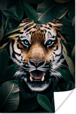 Produktbild von MuchoWow® Poster Tiger - Bäume - Blau 120x180 cm - Kunstposter