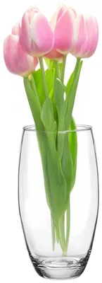 Produktbild von Alessandro Blumenvase klassisch - transparentes Glas - 9 x 20 cm - Zylindermodell - Blumenstrausvas