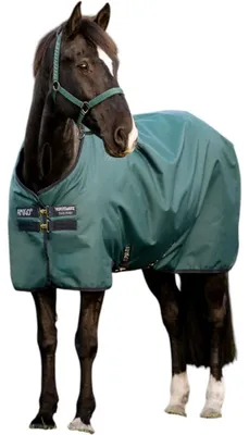 Produktbild von Horseware Ireland Weidedecke Amigo 50g Ripstop 900D Fleece Lined Decke Dynasty Green/Navy & Silver 140 cm