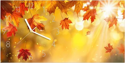 Produktbild von Wanduhr aus Glas mit Motiv Herbstblätter Sonne- 60 x 30 cm - inkl. Aufhängesystem