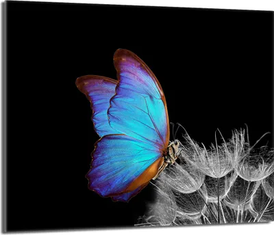 Produktbild von Glasschutzplatte für den Herd 60x52 Butterfly