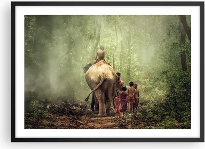 Produktbild von Gerahmtes Poster - Schwarzer Rahmen - Elefant Dschungel Nebel - 70x50 cm - Wand Bild - Wanddeko - Wandbilder - Wandposter - Bilderrahmen - Bilder - Kunstdruck - Wandbild - P2BAA70x50-3438