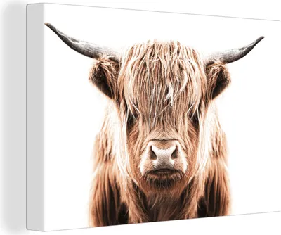 Produktbild von OneMillionCanvasses® - Leinwandbilder - 150x100 cm, Schottisches Hochlandrind - Kuh - Stier, Wandbilder Kunstdruck Wanddekoration - Foto auf Leinwand - Gemälde auf Holzrahmen