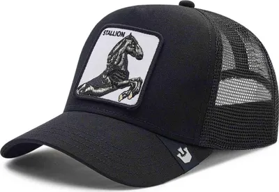 Image de Casquette Goorin Bros 101038_STRALLION pour Homme