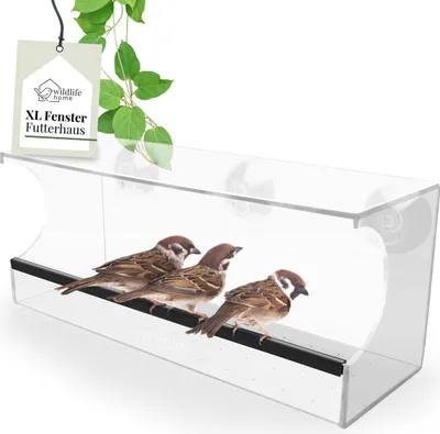 Produktbild von WILDLIFE HOME Fenster Futterhaus für Vögel I Transparent, 30cm Länge I XL Vogelhaus Fenster, Vogelfutterspender für Wildvögel, Family