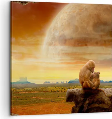 Produktbild von Bild auf Leinwand - Leinwandbild - Affen Mutter Natur Berg - 60x60cm - Wand Bild - Wanddeko - Leinwanddruck - Bilder - Kunstdruck - Wanddekoration - Leinwand bilder - Wandkunst - AC60x60-2287