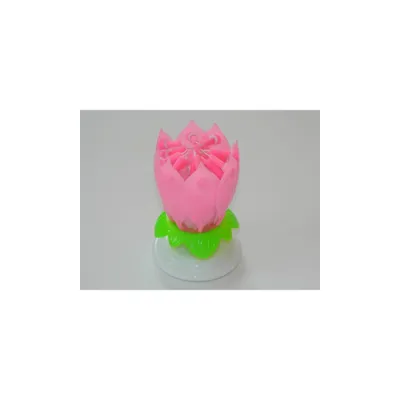 Immagine prodotto di Fiore di loto canterino rosa