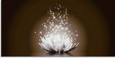 Produktbild von Vadim Georgiev: Magie der Lotus-Blume braun - Glasbild, Größe:50x100 cm / Glasbild