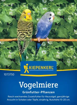 Produktbild von Kiepenkerl Rasensamen Vogelmiere Frischgrün-Futter für ca. 1 m²