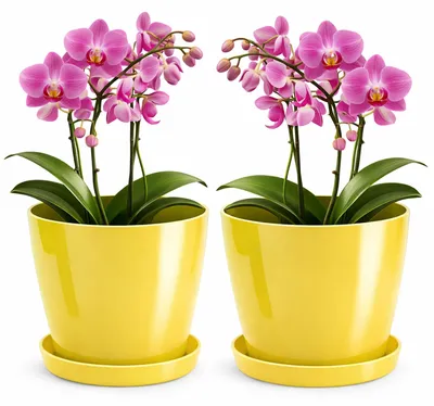 Immagine prodotto di Solidchoice - Set di 2 vasi lucidi, colore giallo