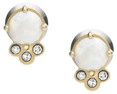 Produktbild von Fossil Jewelry VAL JF03876710 Ohrringe