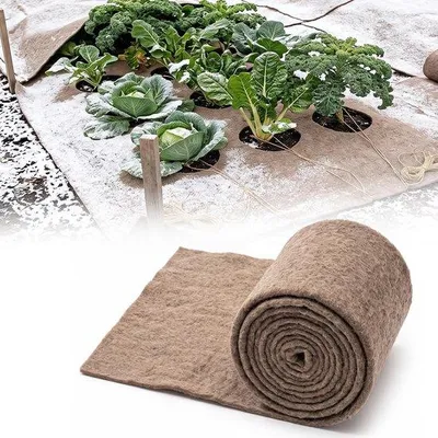 Produktbild von Winterschutz für Pflanzen 0,5 x 2,5 m - Schafwolle Filzmatte - biologisch abbaubar - natürlicher Schlackenschutz - Vemera