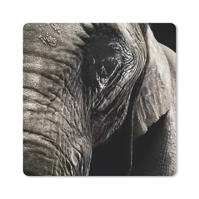 Produktbild von MuchoWow® Mauspad Mousepad Elefant - Tiere - Nahaufnahme - Schwarz 30x30 cm - Mousepads - Maus Mat - Pad - Mausunterlage - Gaming