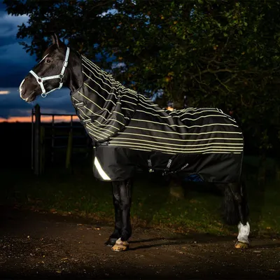 Image de Couverture d’extérieur Horseware Amigo 1200D FieldSafe Reflectech Plus 50g - Taille 160