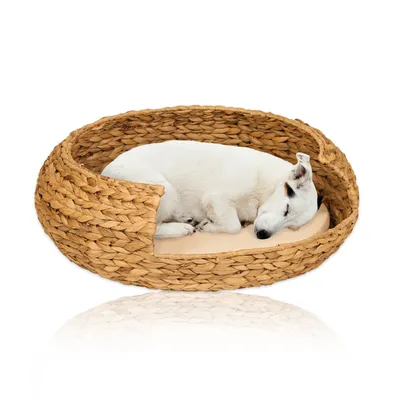 Produktbild von Katzenkorb -opal-, aus Wasserhyazinthe, auch für kleine Hunde geeignet, in 5 Größen, Größe:Katzenkorb Gr.2