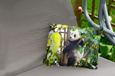 Produktbild von MuchoWow® Outdoor Kissen - Panda - Tier - Baum - 50x30 cm - Wetterfest - Lounge Kissen - Sofa kissen - Wohnzimmer Dekoration