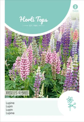 Productafbeelding van Lupine Russell's: Hybride zaadmix | Lupinenten van Hortitops