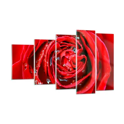 Produktbild von Bilder auf glas - Rose Blume Blütenblätter Tau - 100x60cm - Glasbilder - Wandbilder - Kunstdruck - zum Aufhängen bereit - Wanddekoration aus Glas - Glas Bilder - Wandbild auf Glas - GEG100x60-1518
