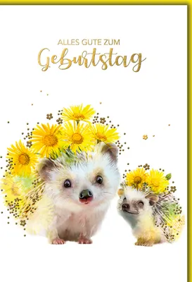 Produktbild von Geburtstag - Glückwunschkarte im Format 11,5 x 17 cm - Igel mit Blumen