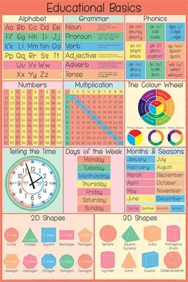 Produktbild von Educational - Bildung - Basics - Poster - Größe 61x91,5 cm
