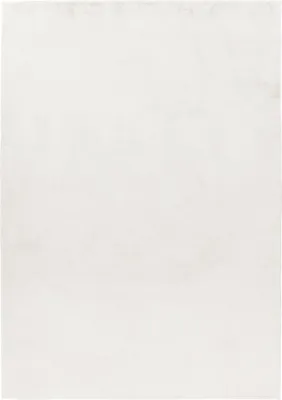 A plain white background with a white rug.
