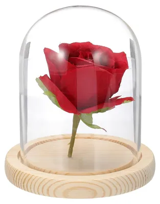 Immagine prodotto di Vetrina a campana in vetro con base in legno - Decorazione, 13x10 cm