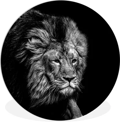 Produktbild von MuchoWow® Rundes Wandbild - Runde Bilder Löwe - Tiere - Schwarz - Weiß Ø 30 cm Kreis Wanddekoration Kunststoff - Wandkreis - Wandschmuck - Schlafzimmer - Bilder - Der Kreis - Kunst für die Wohnung - Plastik - Kunstdruck - Wandbild