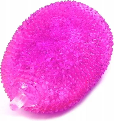 Produktbild von Obstkürbis 12 Stck./Disp D41484 34143