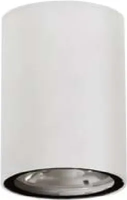 Image de Nova Luce Ceci plafonnier extérieur à LED, Variante : 6 W LED, Ø 90 mm, blanc