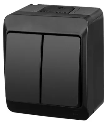Immagine prodotto di Elektro-Plast | Interruttore Doppio Hermes - Nero - IP44 - Design Elegante - Installazione Facile