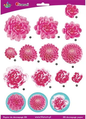 Immagine prodotto di Foglio di carta 3D decoupage fiori di crisantemo