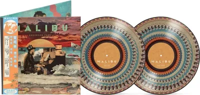 Image de Anderson .Paak - Malibu (10e anniversaire/édition limitée) (disque picture disc Zoetrope) (2 LP)