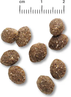 Produktbild von Belcando Mix it GF Hundefutterzusatz 10 kg getreide- & fleischfrei für Hunde bei reiner Fleischfütterung