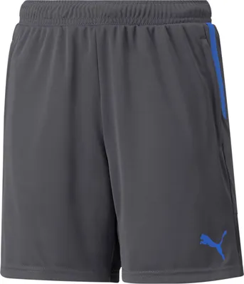 Produktbild von PUMA individualCUP Trainingsshorts Kinder asphalt/bluemazing 152