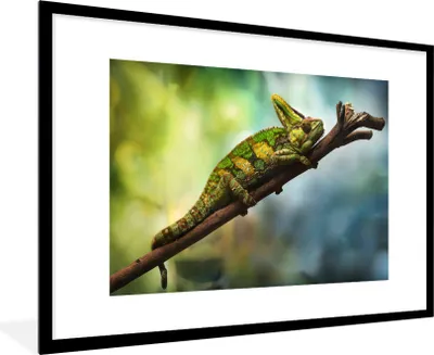 Produktbild von MuchoWow® MuchoWow® Gerahmtes Poster Grünes Chamäleon auf einem Ast 90x60 cm - Poster mit zchwarzem Bilderrahmen - Wanddekoration - Fotos