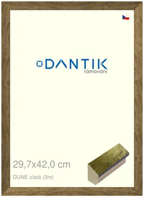 Obrázok produktu pre Rám DANTIK 29,7x42 | DUNE gold (Plexi Clear)