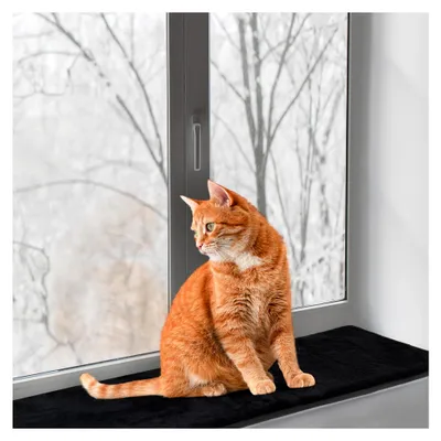 Produktbild von Katzenfensterbank Liegematte für Fensterbänke 90 x 30 cm