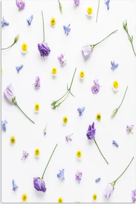 Produktbild von MuchoWow® Poster Blumen - Collage - Pastell 60x90 cm - Wanddekoration